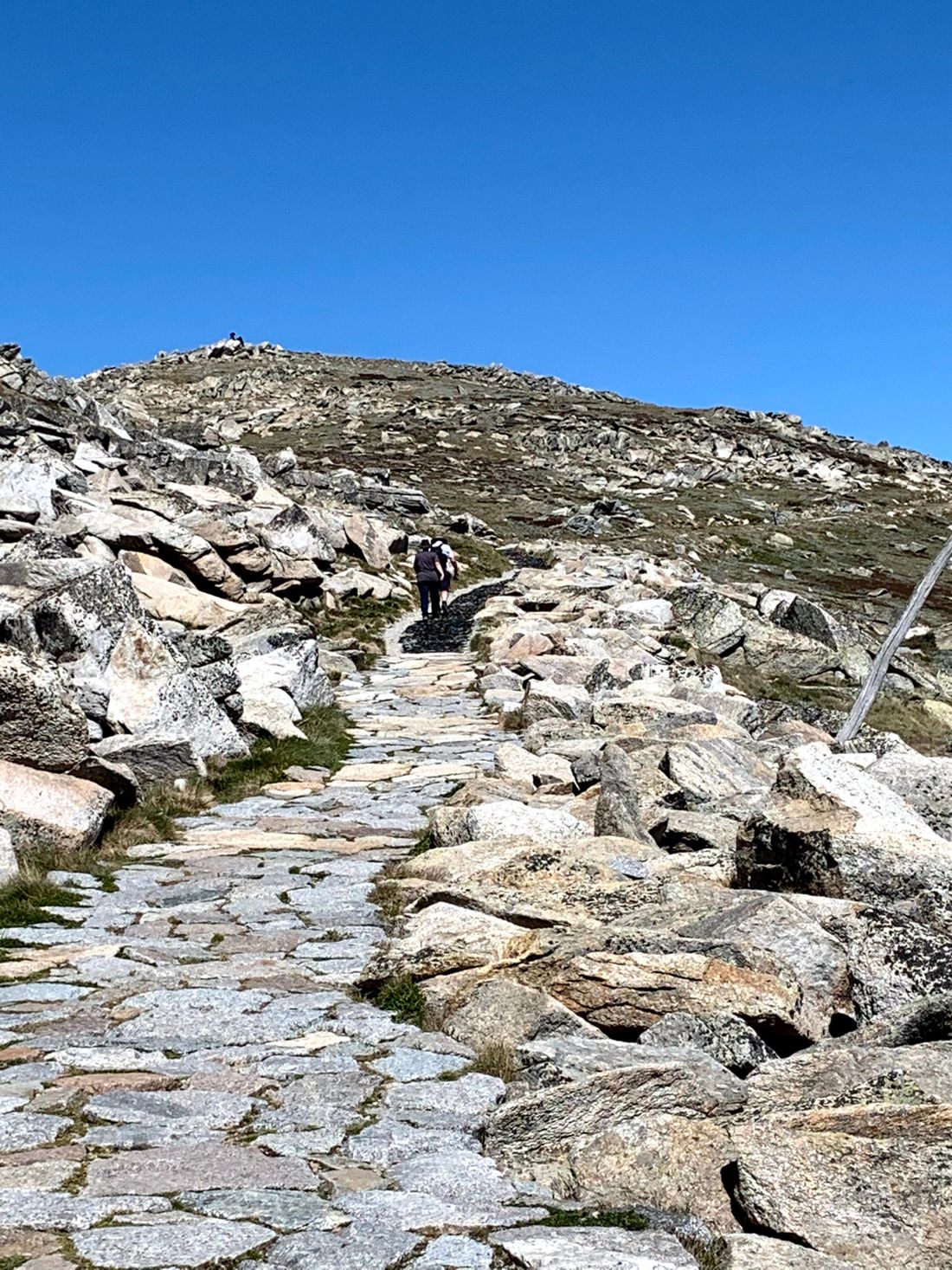 La ruta cerca del pico / Szlak pod szczytem Mt Kosciuszko