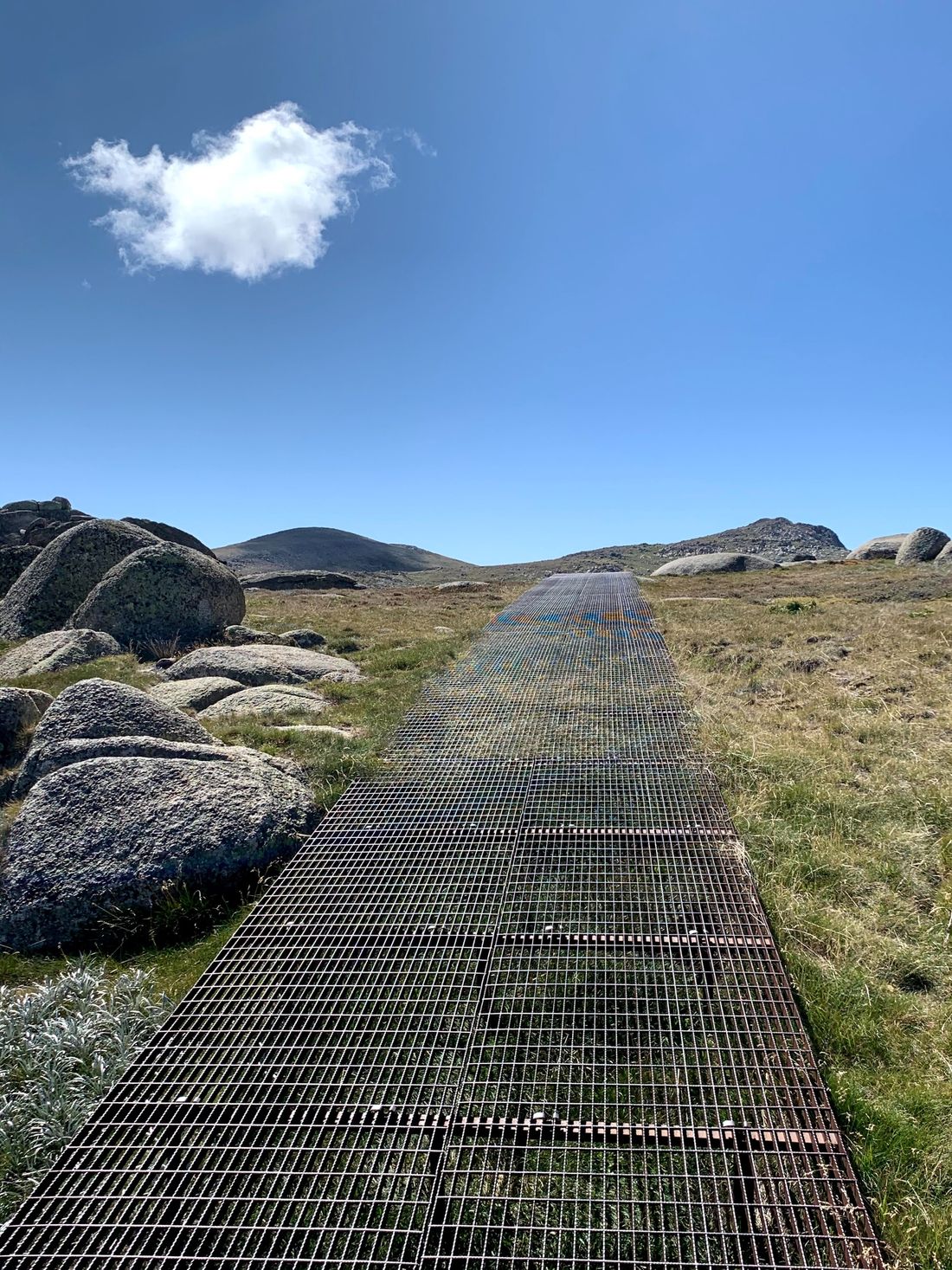 La ruta al pico / Większość szlaku na Mt Kosciuszko to taka kratownica...