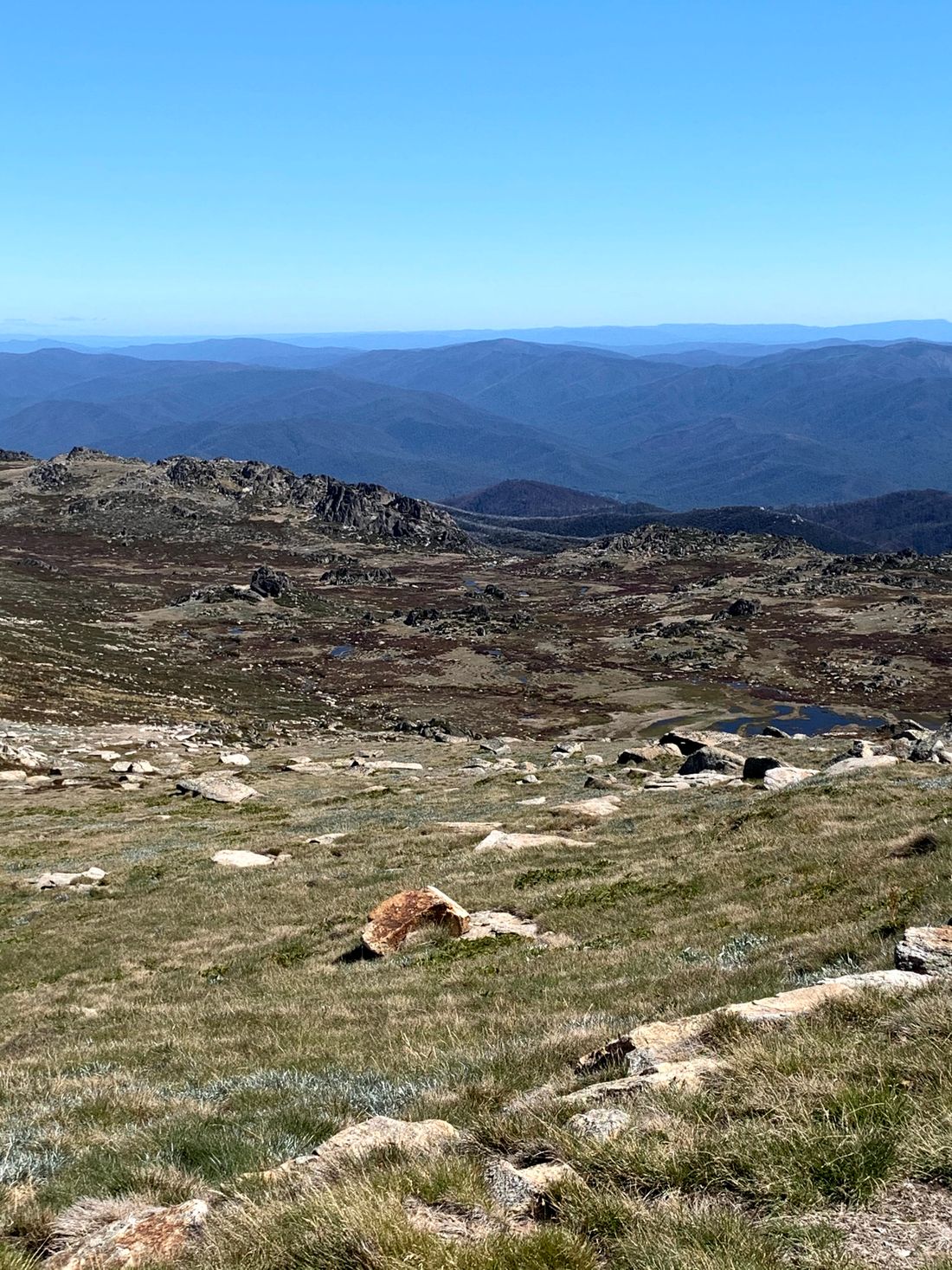 Widoki w drodze na szczyt Mt Kosciuszko