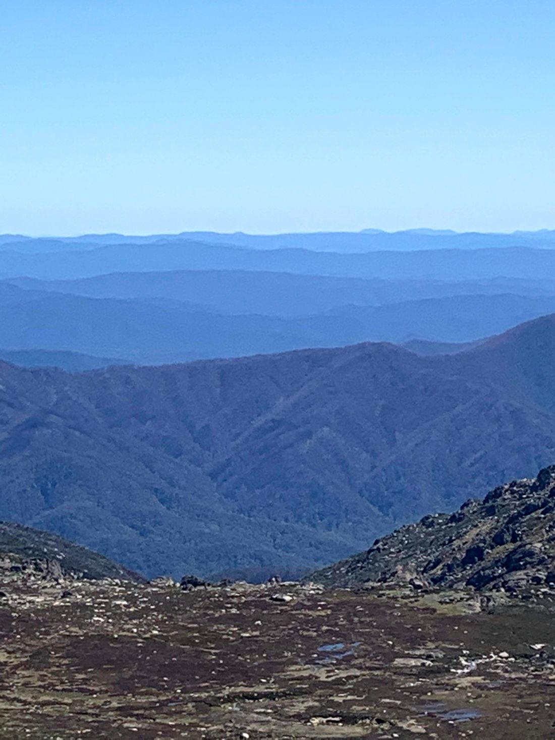 Vistas durante la ruta al pico / Widoki w drodze na szczyt Mt Kosciuszko