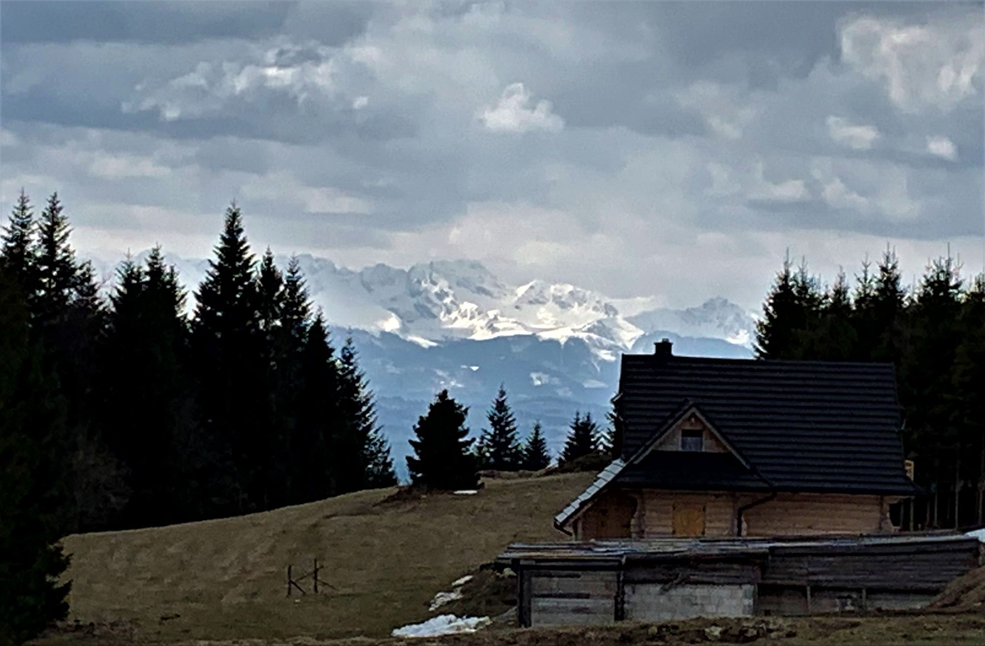 Widok na Tatry z żółtego szlaku z Oleksówek na Turbacz