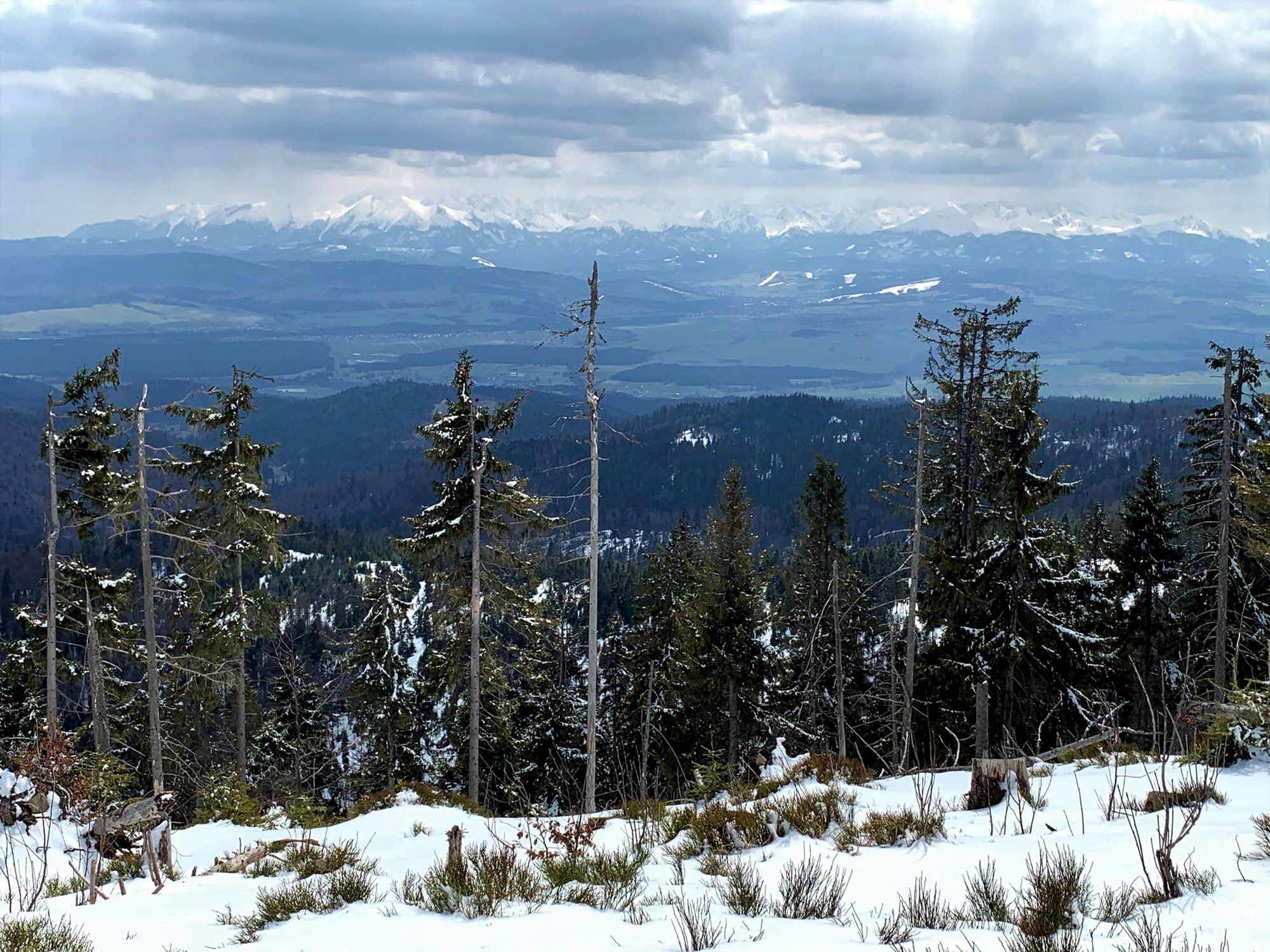 Widok na Tatry spod schroniska na Turbaczu