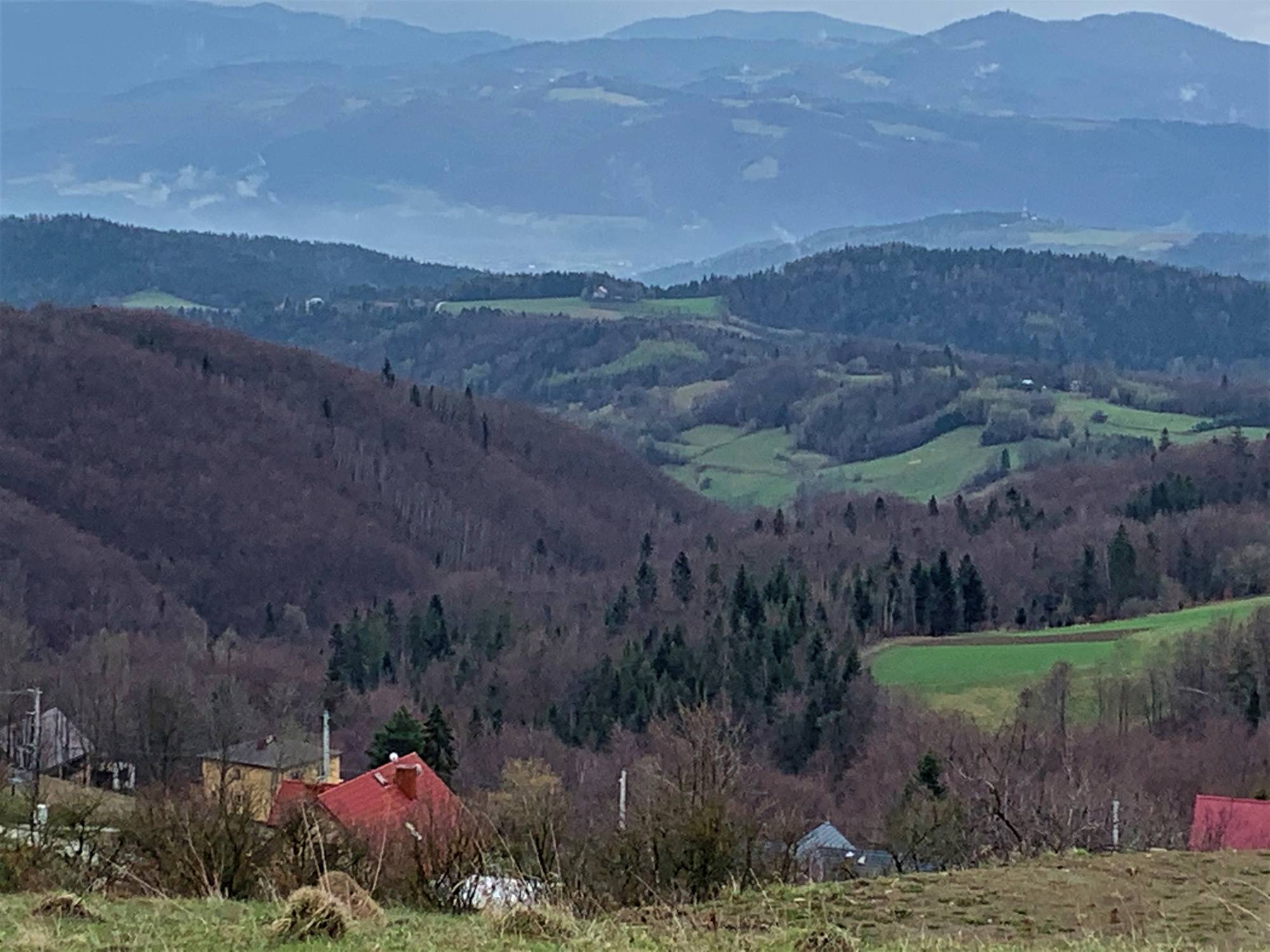 Modyń - widok z szlaku z wsi Młyńczyska