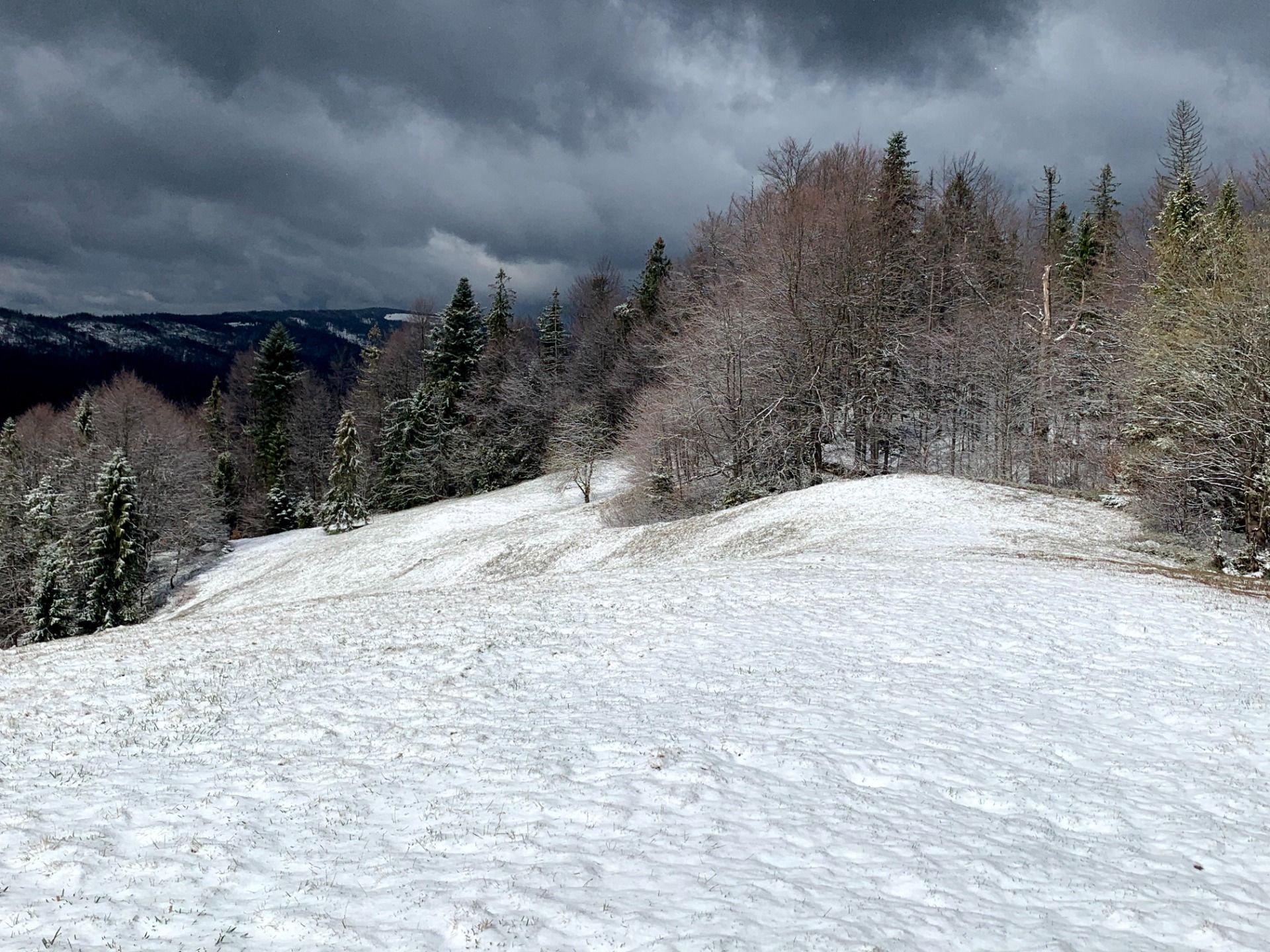 Widok ze szlaku Lubomierz-Rzeki - Gorc Kamienicki