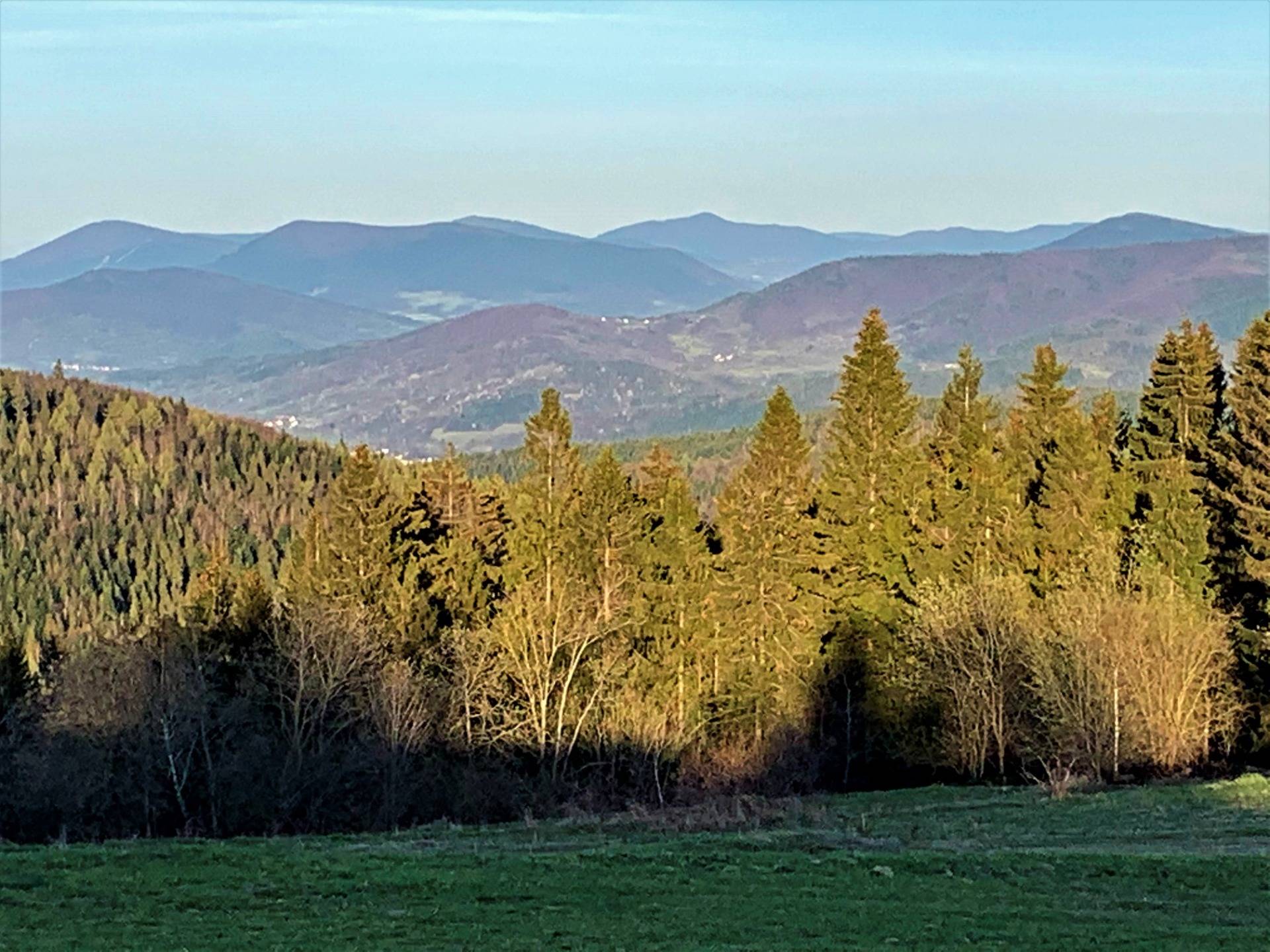 Zima, Wiosna i Lato w 36h. Cz.2: 700-letnie Cisy Raciborskiego i Koskowa Góra z bajecznym widokiem.