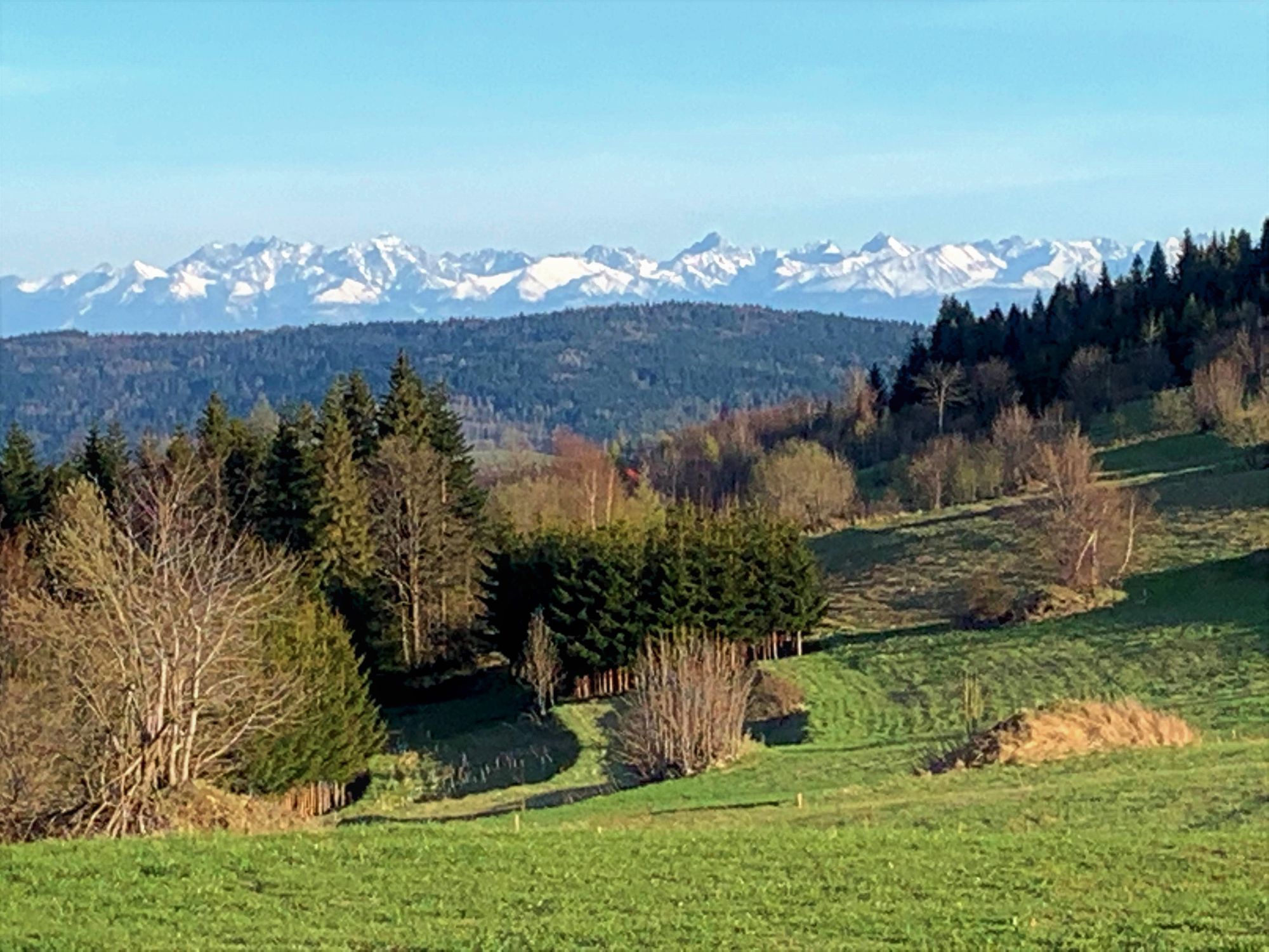 Widok z Koskowej Góry