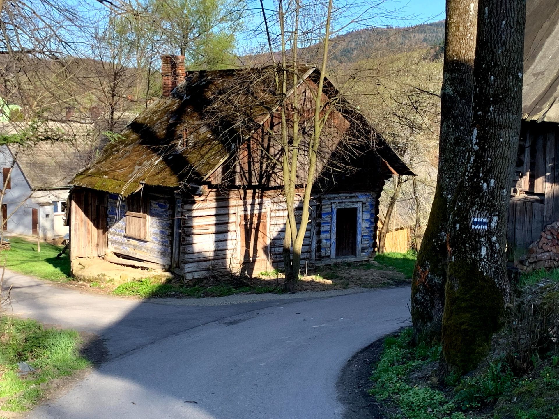 Szlak niebieski, zejście do Bieńkówki