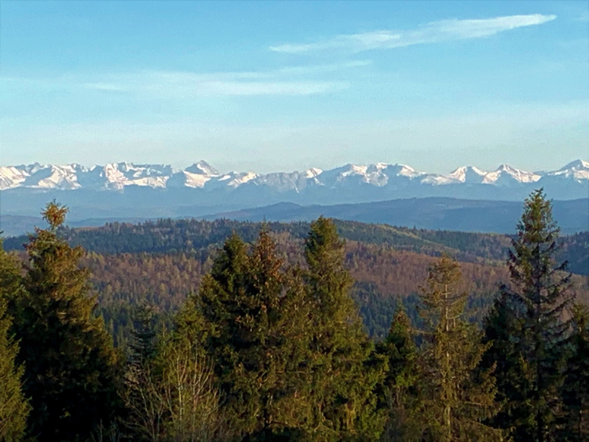 Widok na Tatry z Koskowej Góry