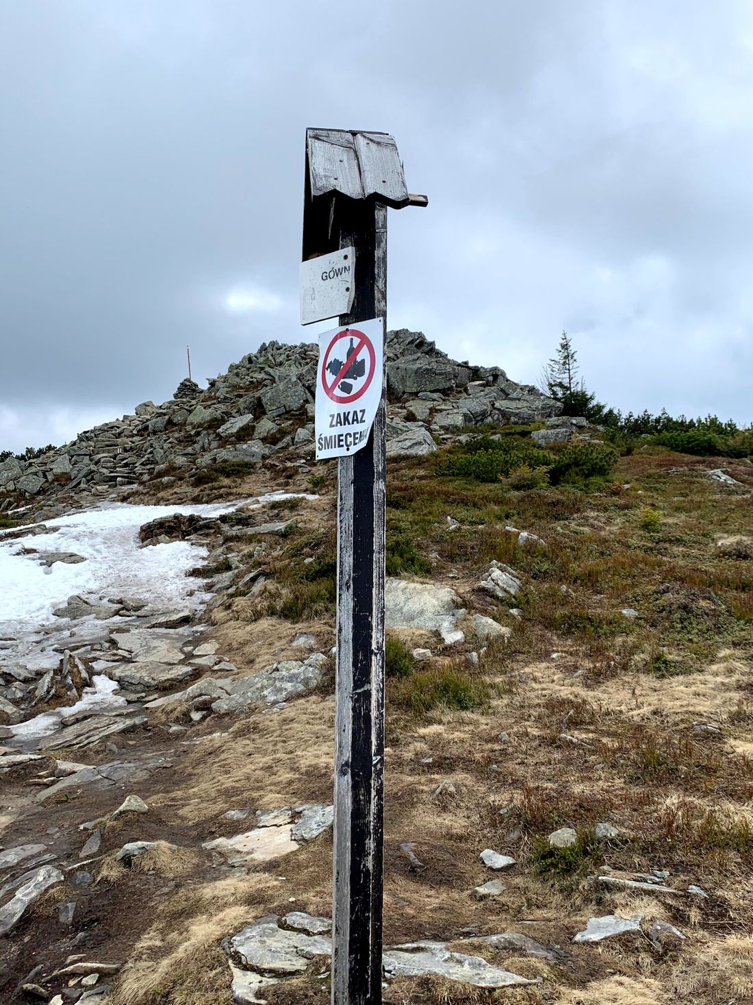 Gówniak (1617m) w masywie Babiej Góry