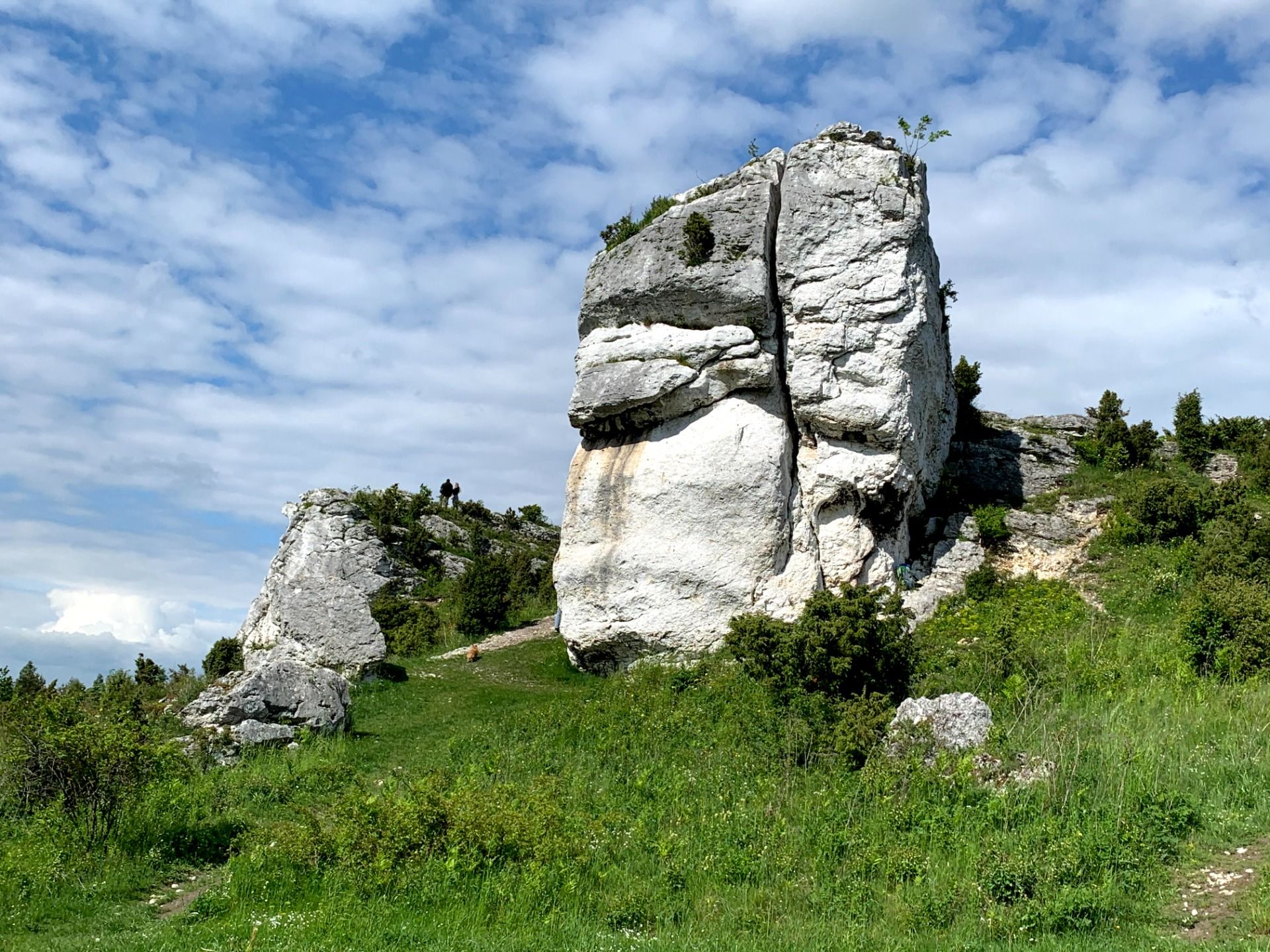 Jura Krakowsko-Częstochowska