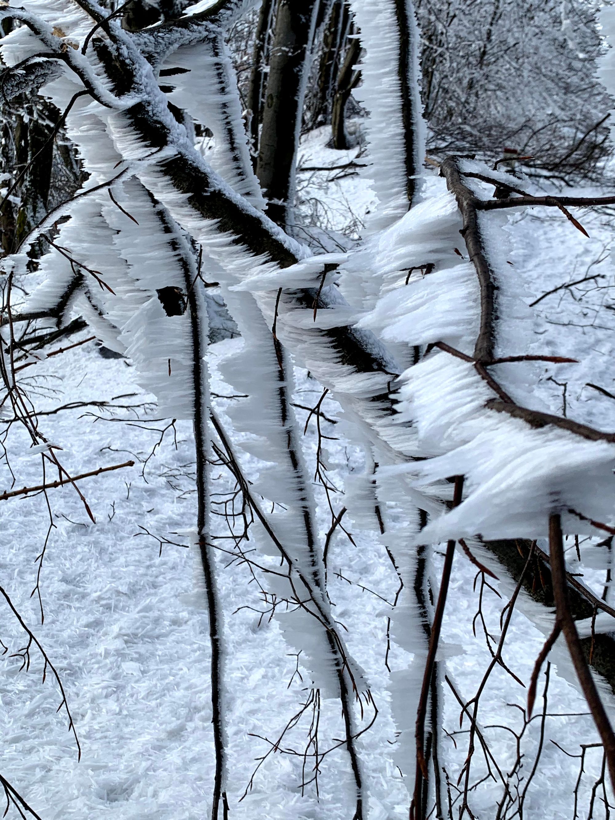 Korona Gór Polski: Lackowa, Beskid Niski
