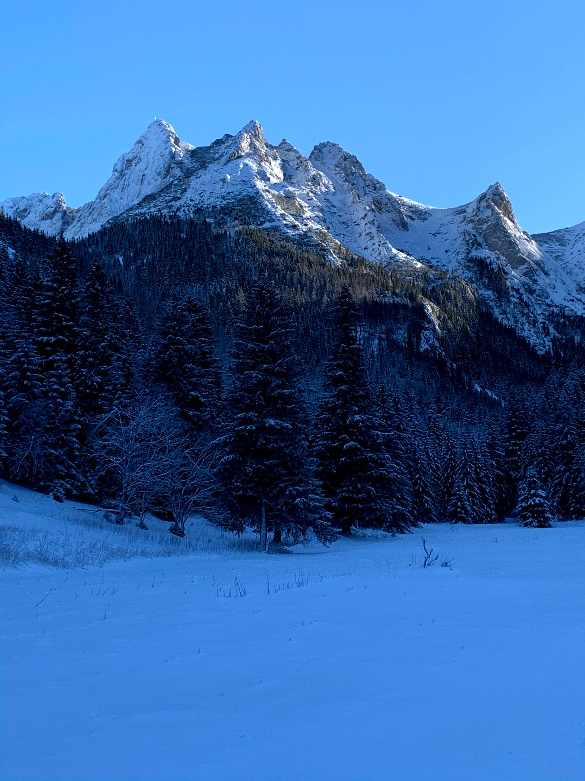 Giewont widziany z Doliny Małej Łąki