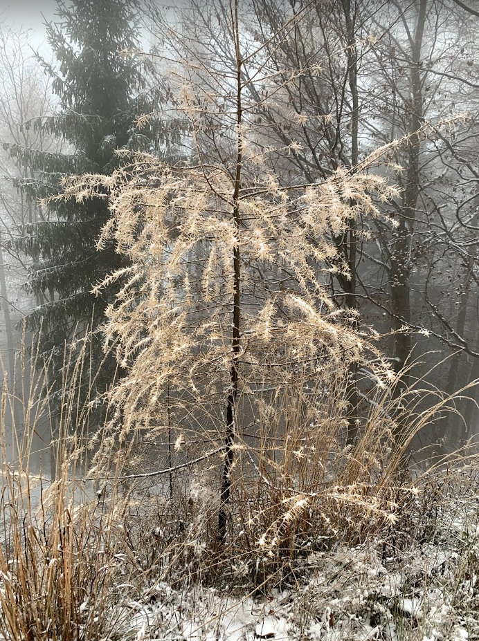 Korona Gór Polski: Czupel, Beskid Mały