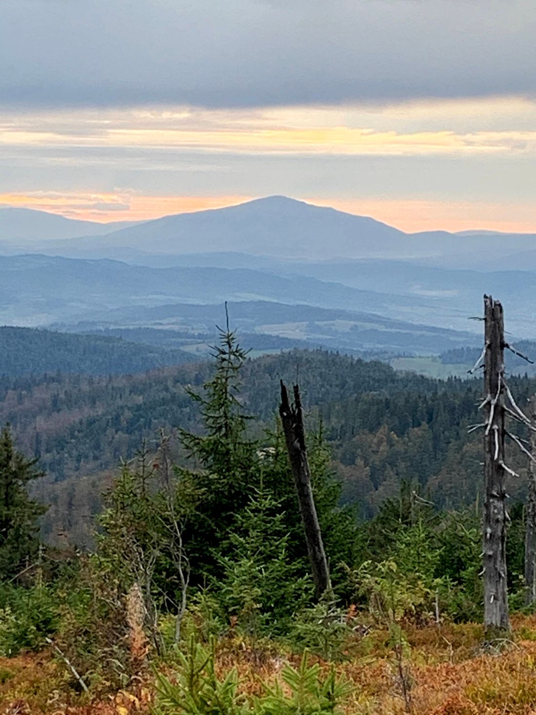 Babia Góra widziana z Turbacza