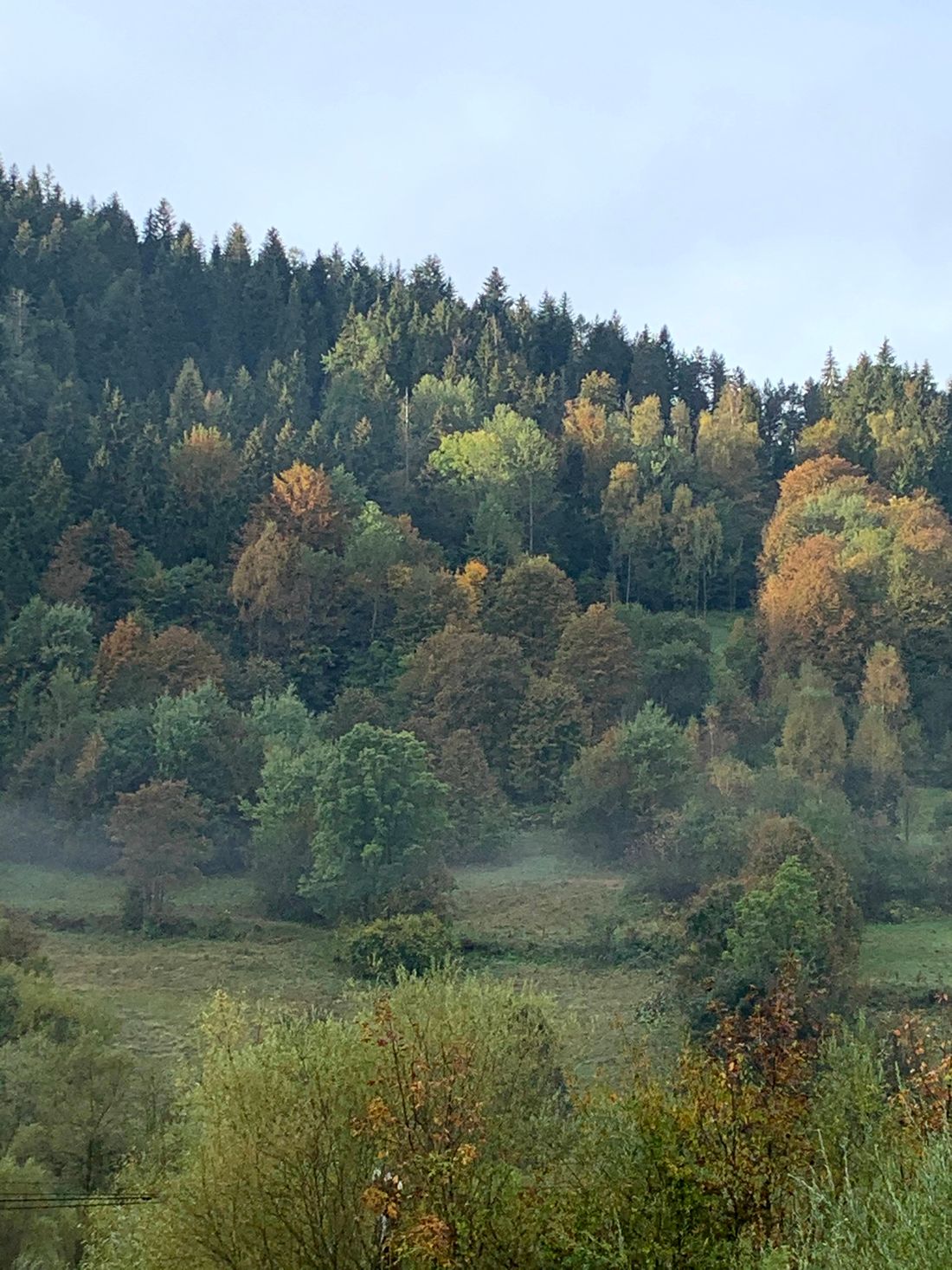 Widok z wejścia na pasmo Lubania z Ochotnicy Dolnej