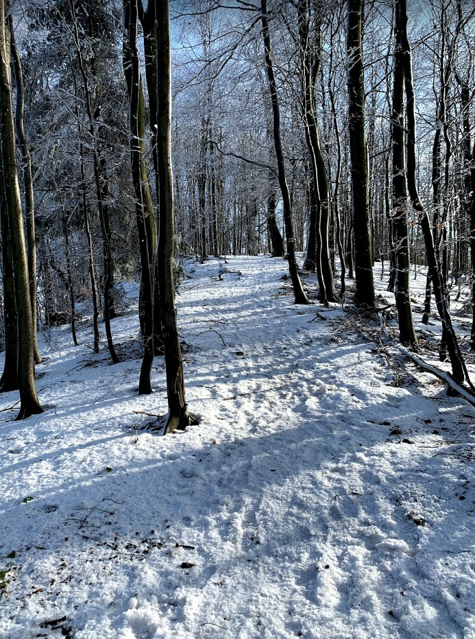 Un día de otoño e invierno en las montañas de Polonia