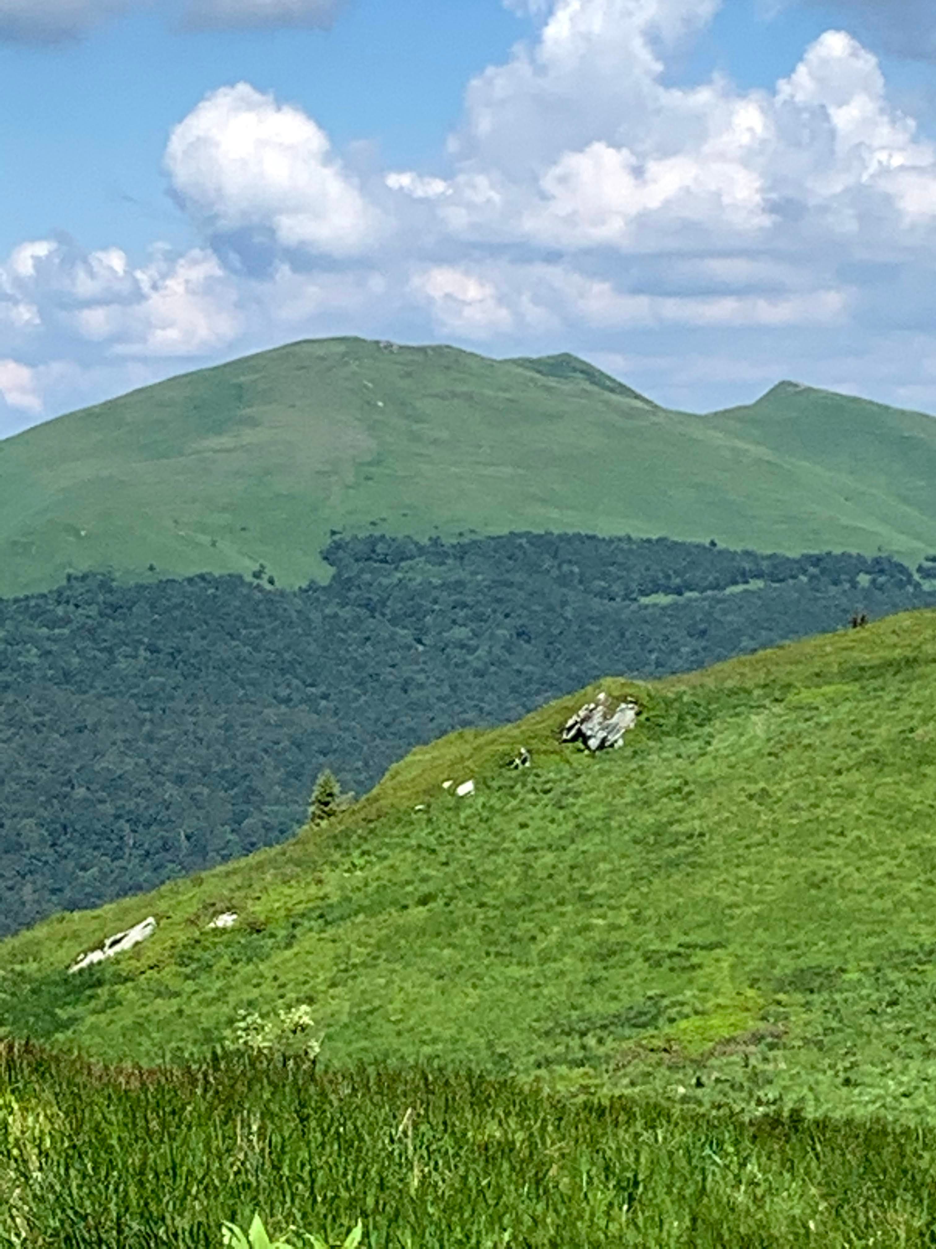 Bieszczady