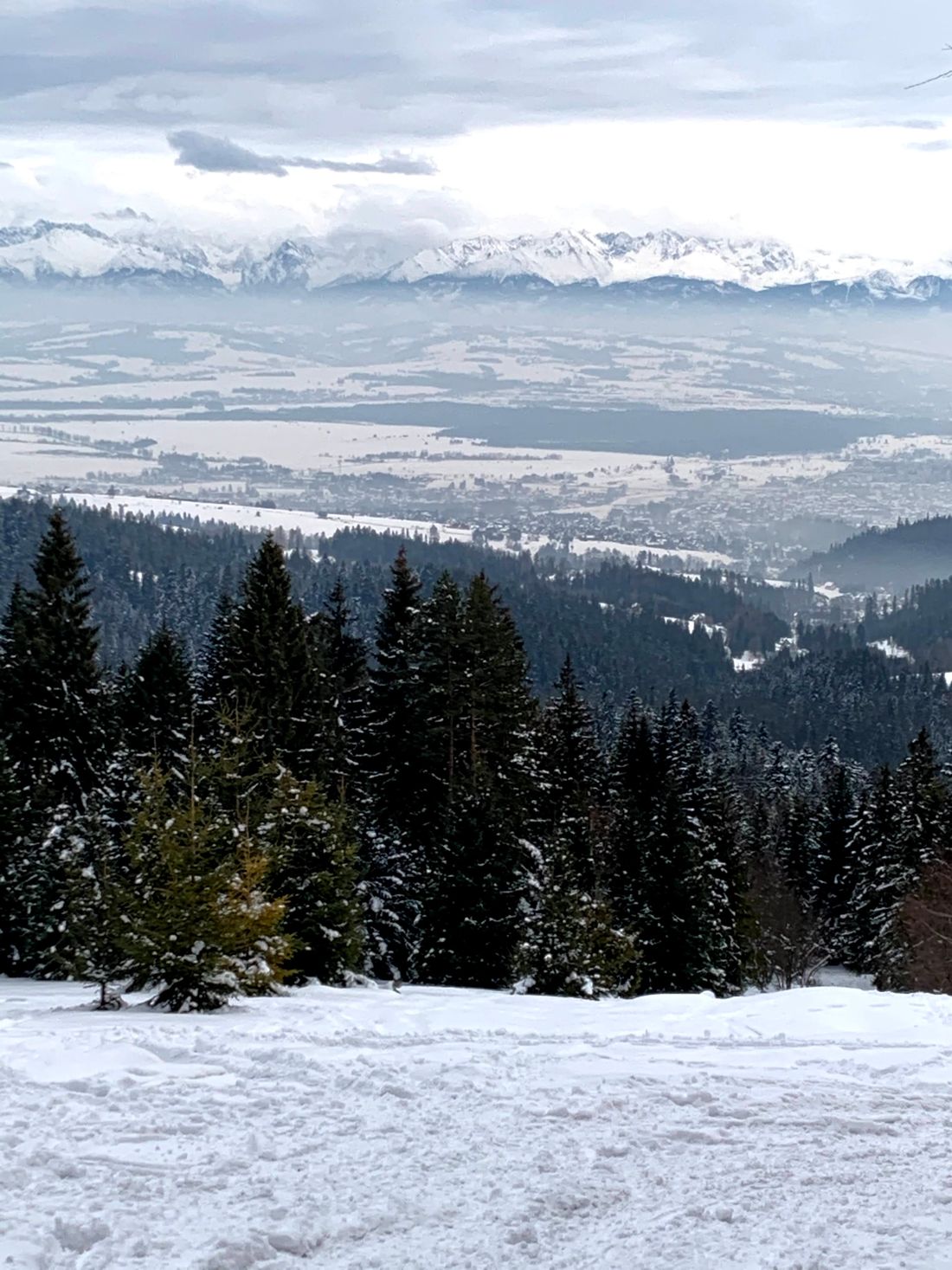 Widok na Tatry z szlaku Stare Wierchy - Kowaniec