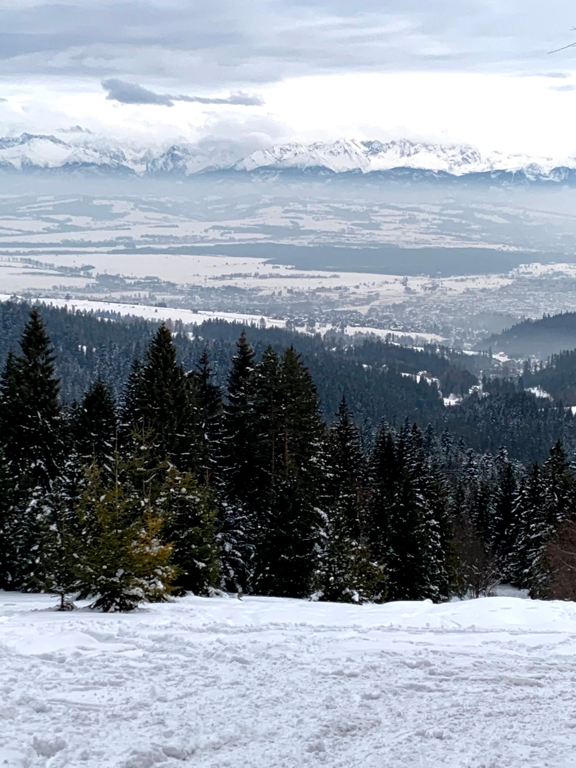 Widok na Tatry z szlaku Stare Wierchy - Kowaniec