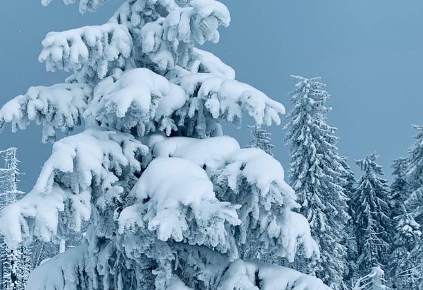 Beautiful  Winter in Gorce Mountains, Poland