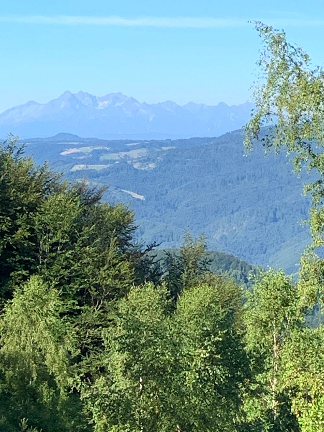 Widok na Tatry z okolic Cyrli