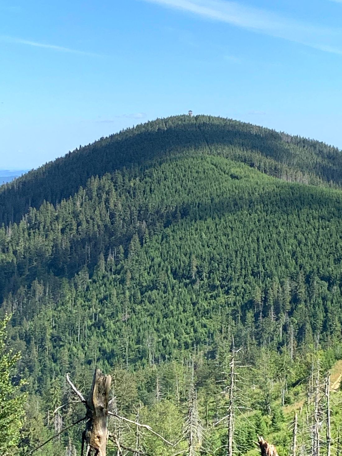 Widok na Radziejową