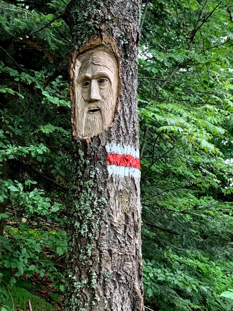Główny Szlak Beskidzki - Etap 14: Krościenko nad Dunajcem - Turbacz