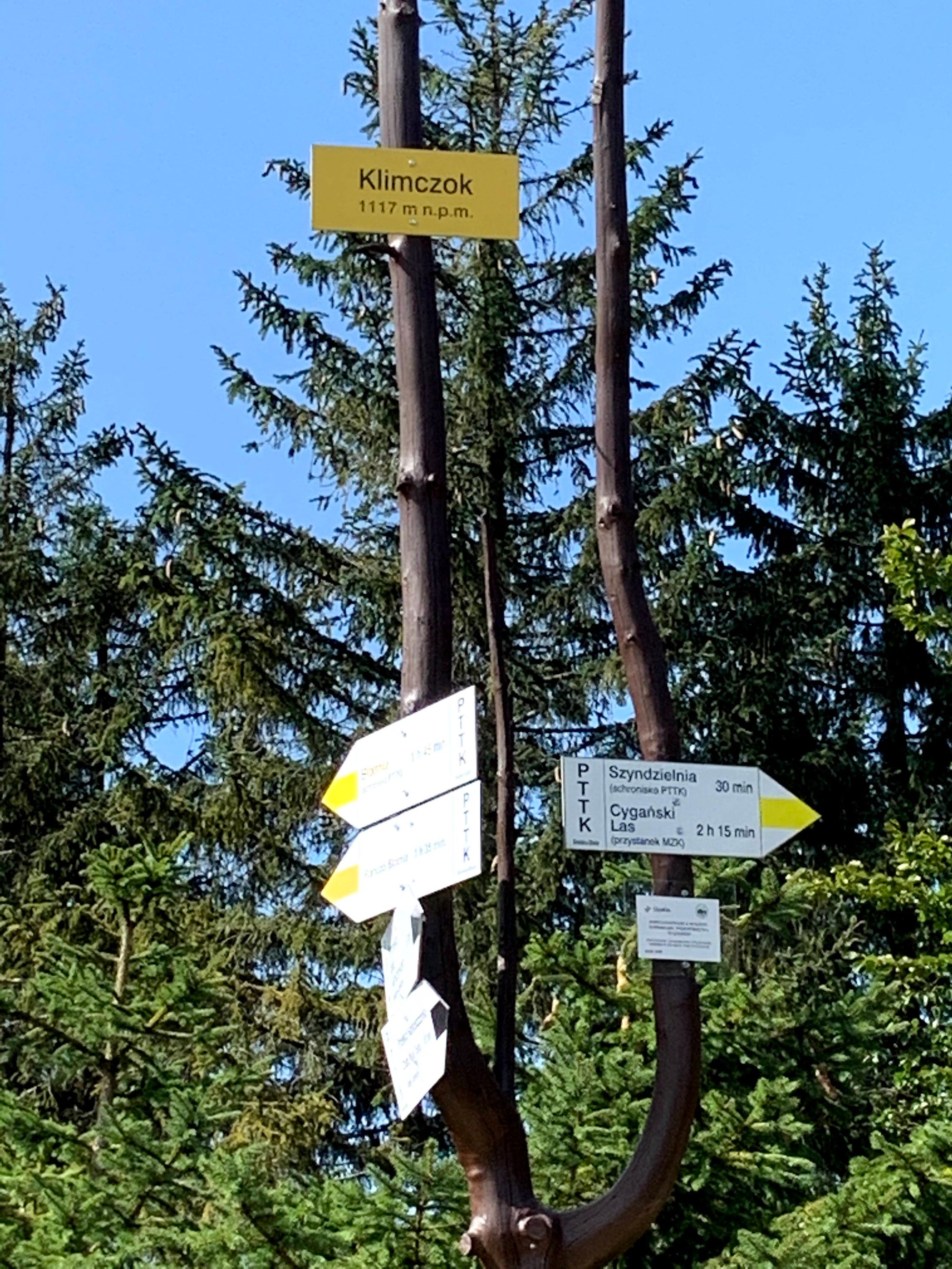 Szczyt Klimczoka, 1117m