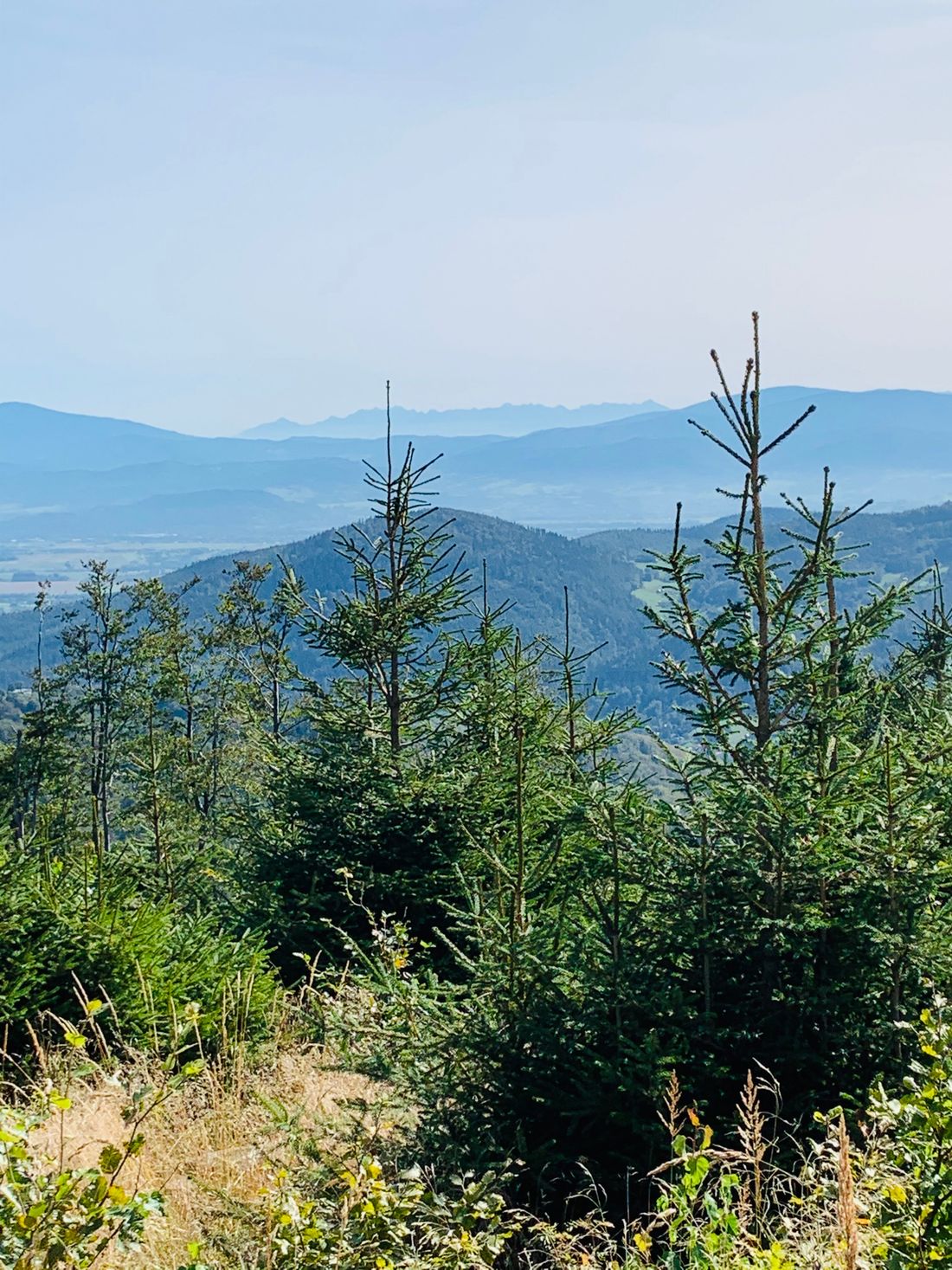 Widok z Klimczoka na (od prawej, w głębi) Babią Górę, Tatry i Pilsko