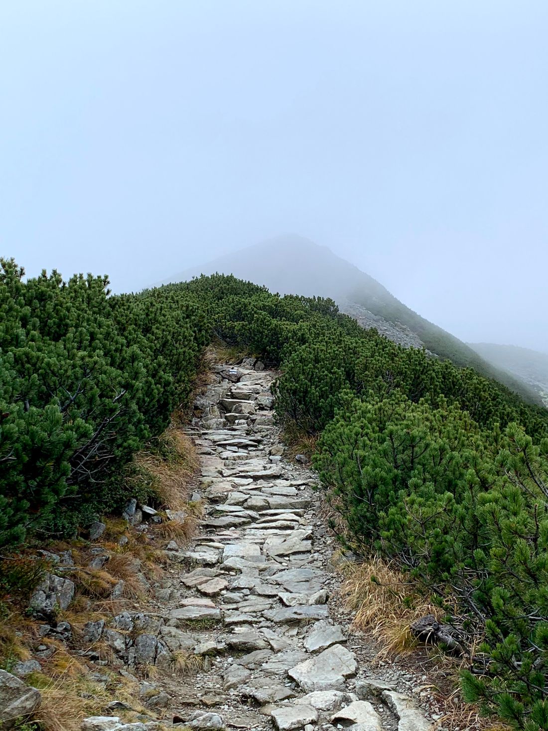 Droga na Giewont z Kopy Kondrackiej