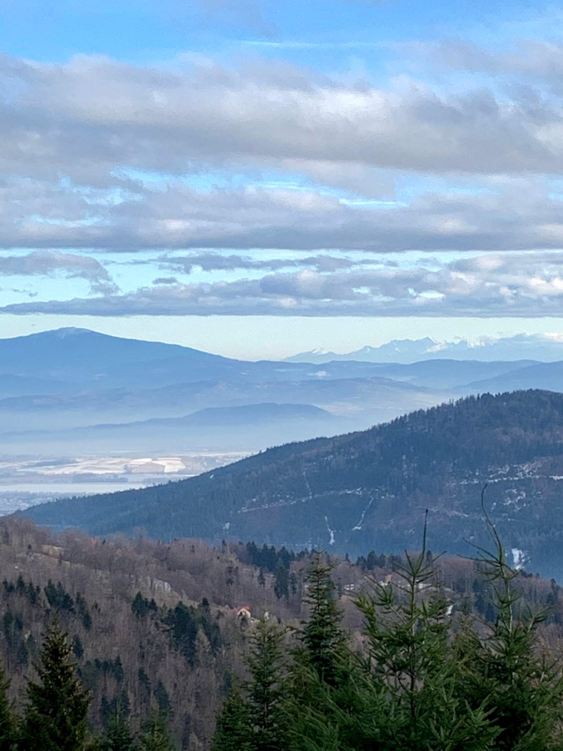 Babia Góra i Tatry widziane spod Klimczoka