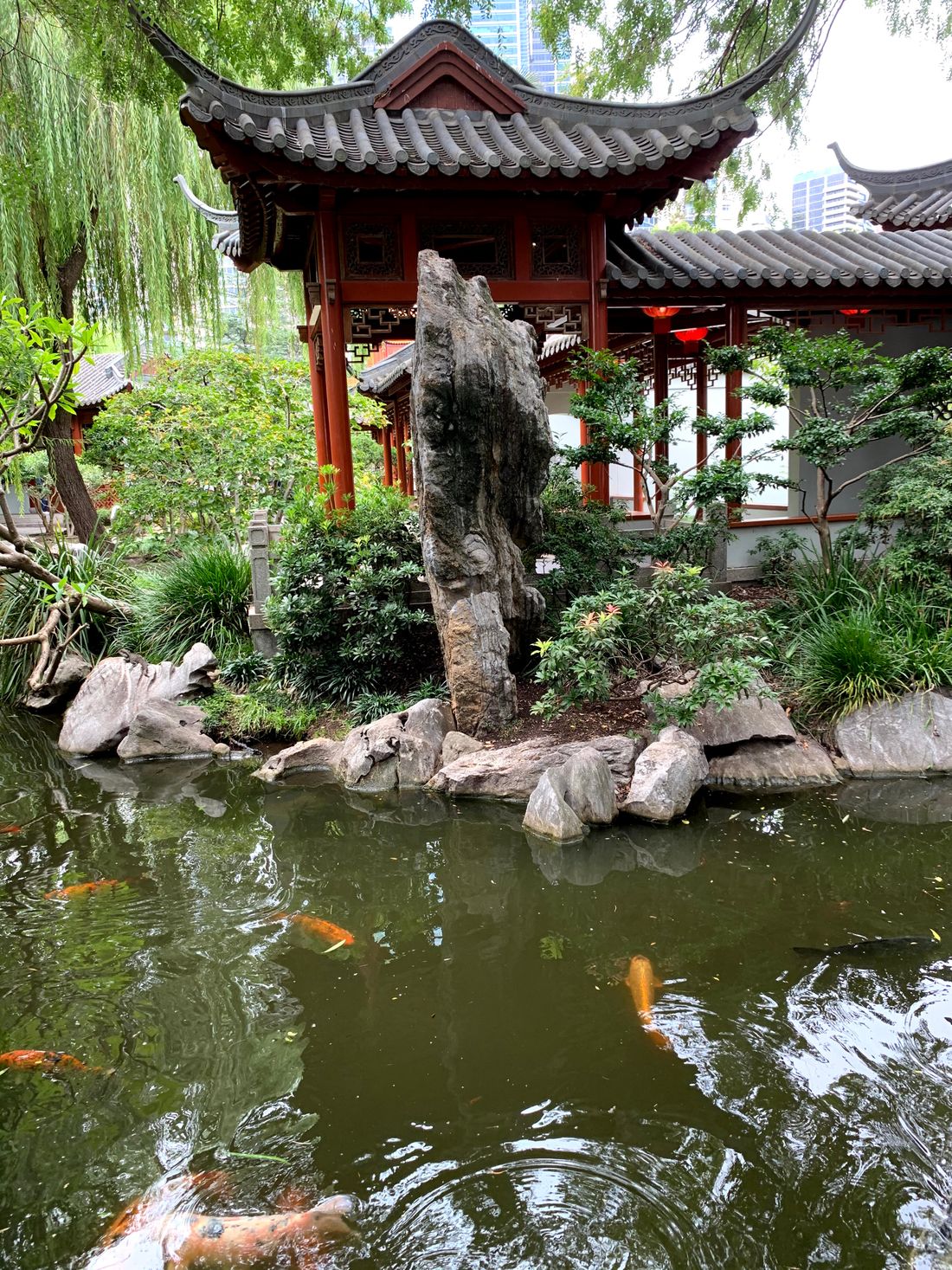 El jardín chino / The Chinese Garden / Chiński ogród