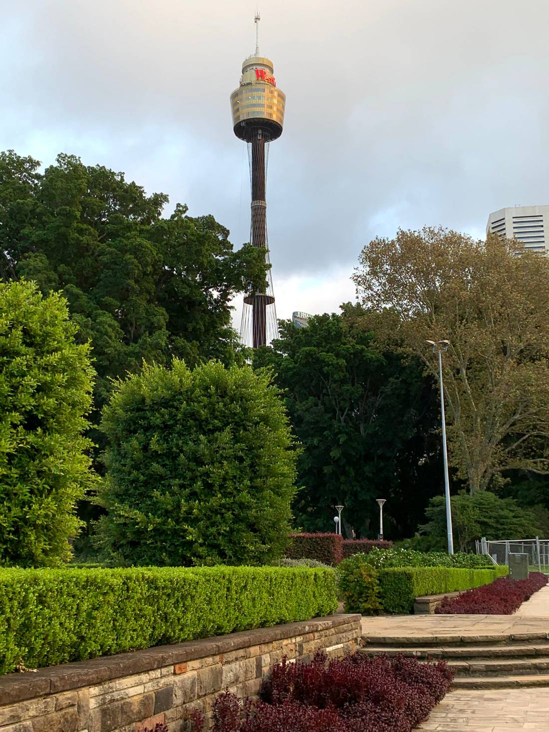 La Torre de Sydney / Sydney Tower Eye / Wieża widokowa w Sydney