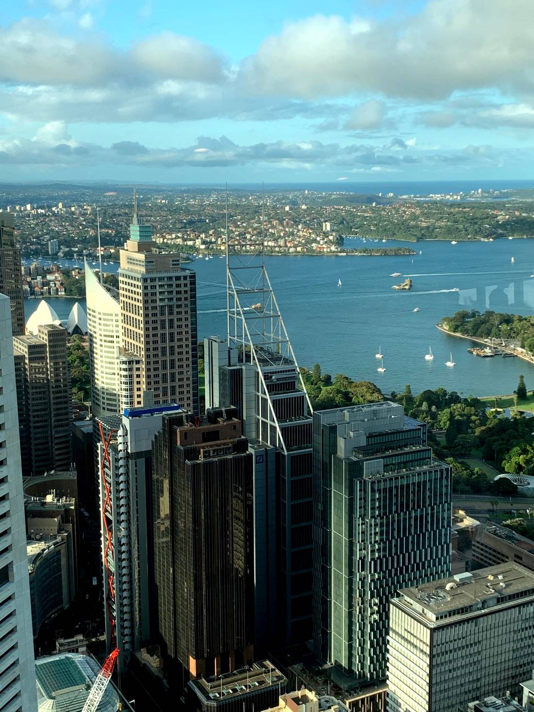 La vista desde la Torre de Sydney / View from Sydney Tower / Widok z wieży