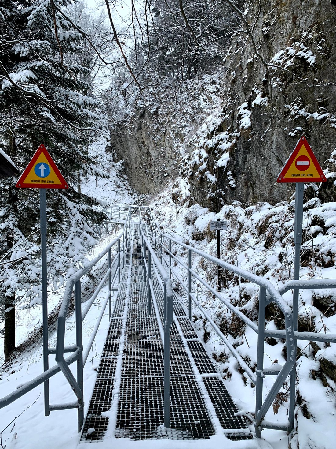 Wejście na szczyt Okrąglica (Trzy Korony)