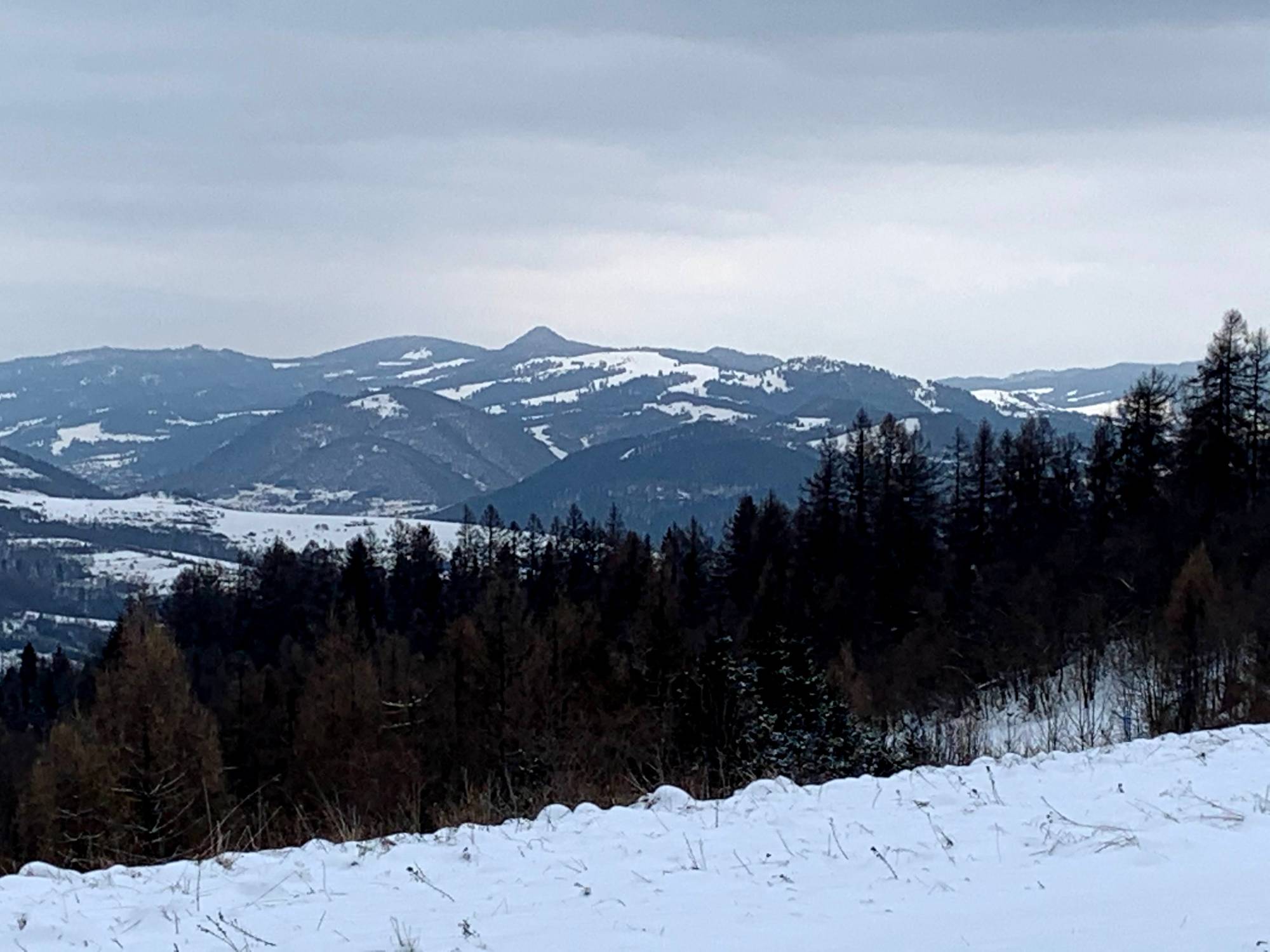 Widok z szlaku z Lubania do Krościenka. Szczyt w centralnej części to Wysoka.