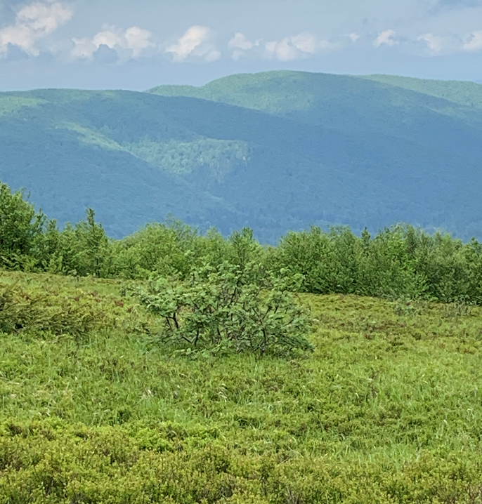 Etap 3: Jasło, 1153m n.p.m.