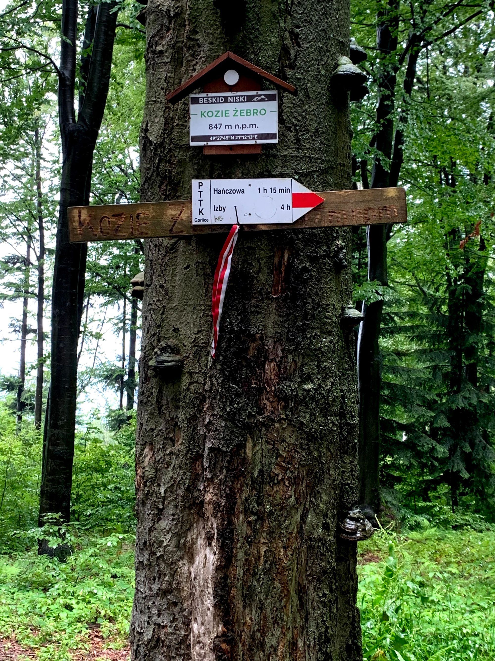 Etap 9: Kozie Żebro, 847m n.p.m.