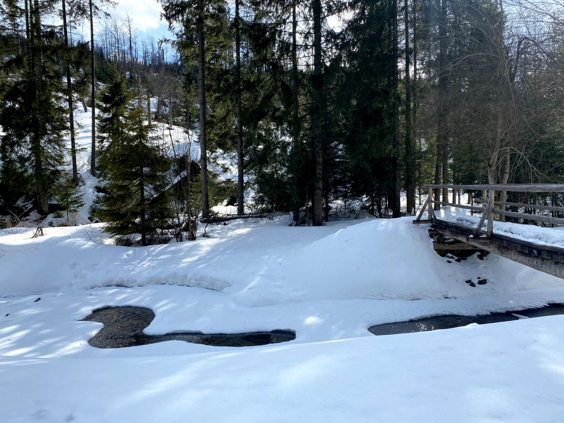 Marzec 2021 na szlakach. Trzy zimowe wyprawy w Gorce, Pieniny i Beskid Wyspowy