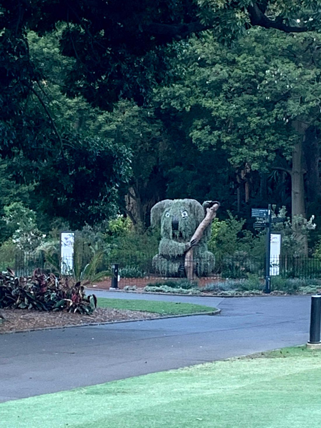 El jardin botánico