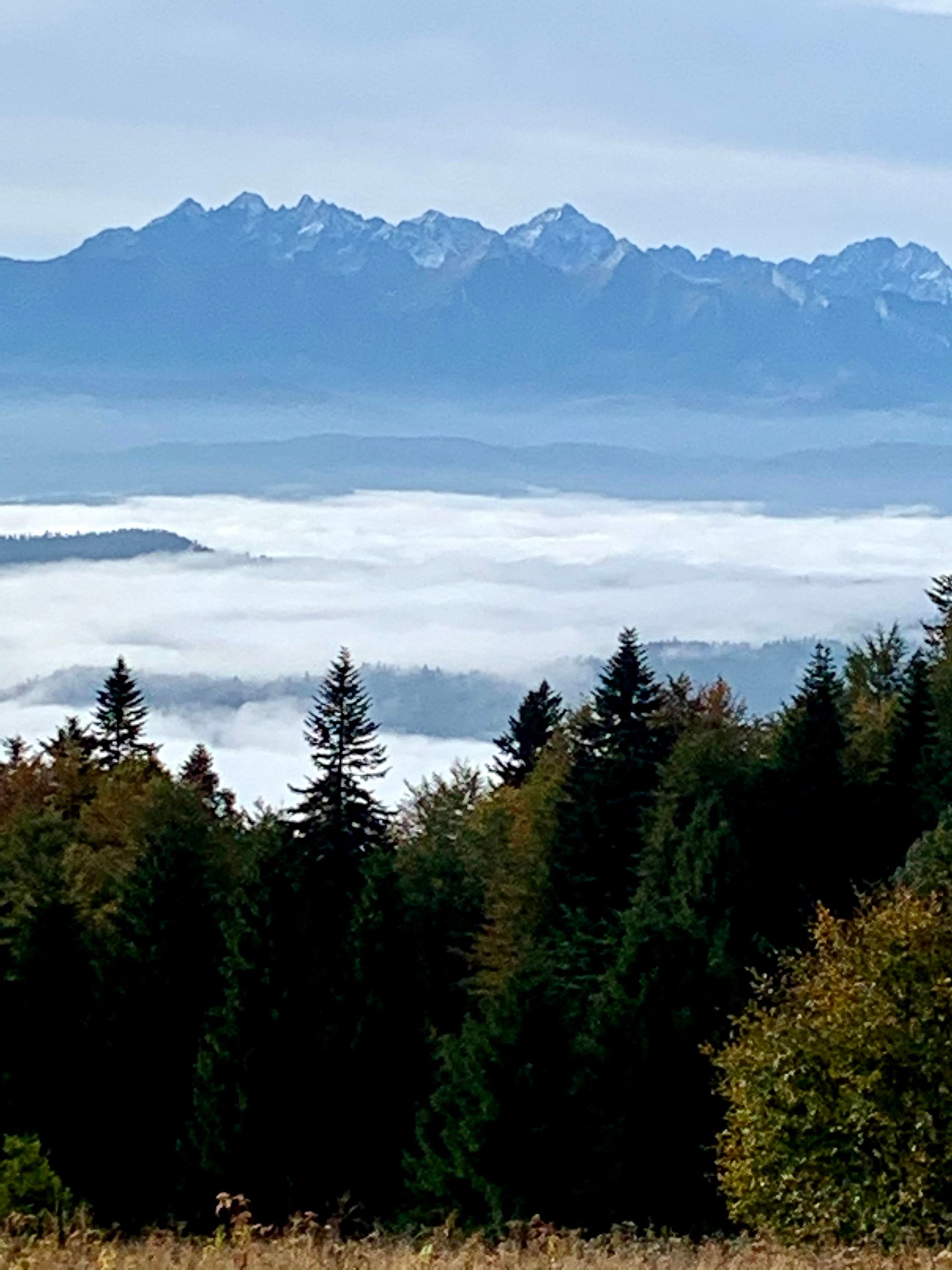 Widok na Tatry z pasma Lubania