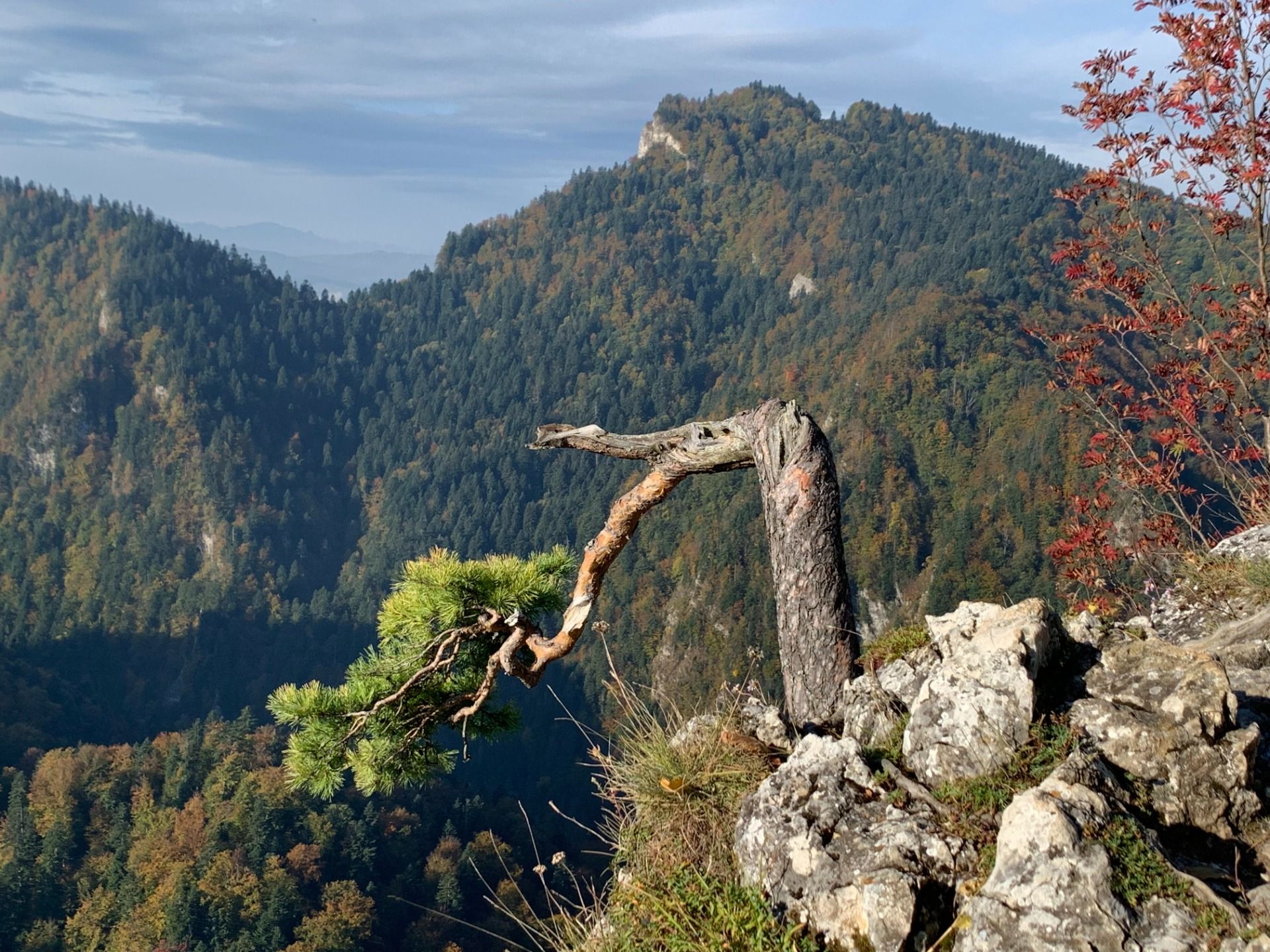 Pieniny