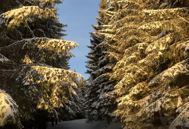 Mt. Śnieżka in Winter. Sudecki Diadem i Korona - dzień 2a: Zimowe wejście na Śnieżkę [ENG / POL]