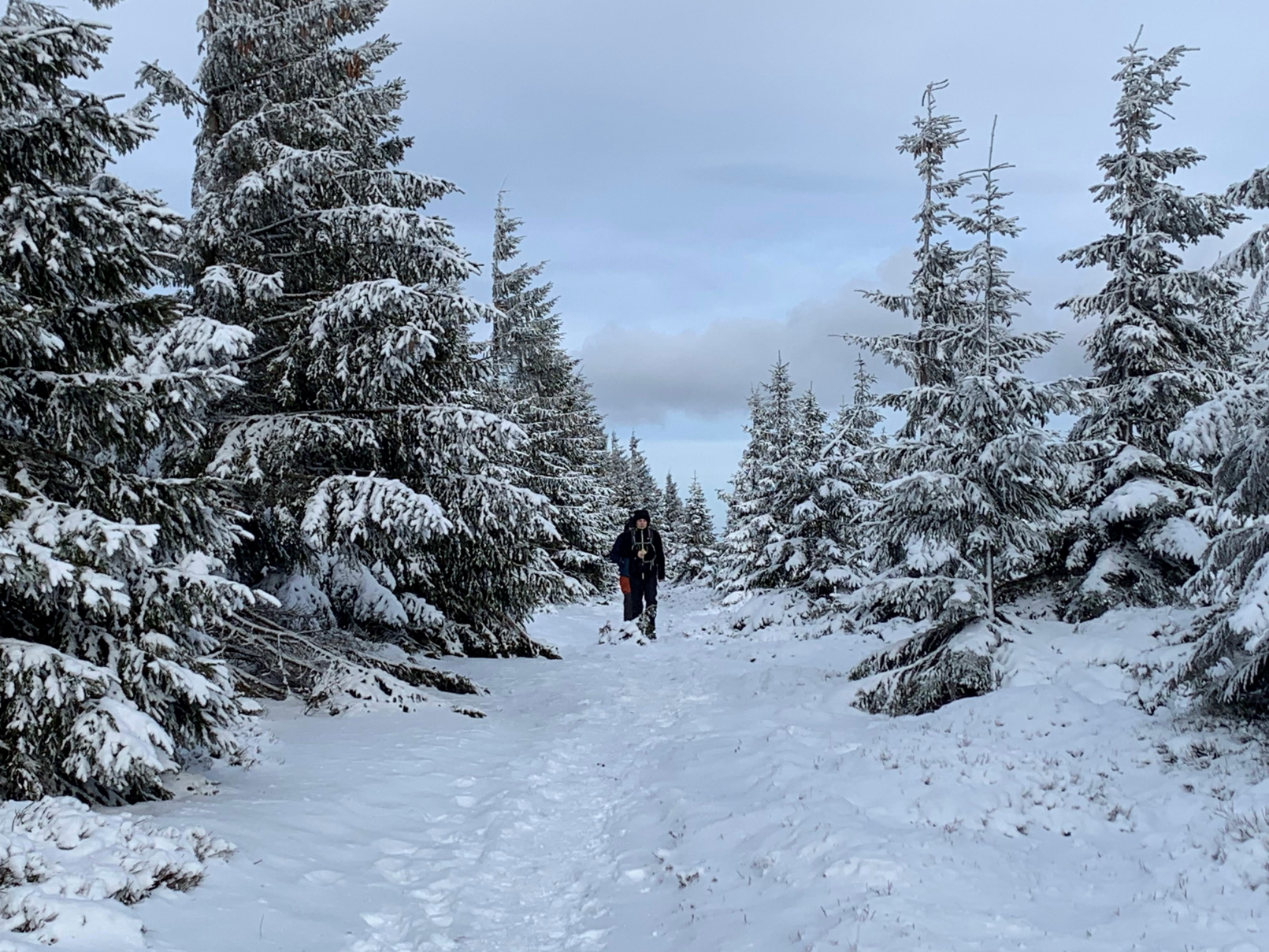 Mt. Śnieżka in Winter. Sudecki Diadem i Korona - dzień 2a: Zimowe wejście na Śnieżkę [ENG / POL]