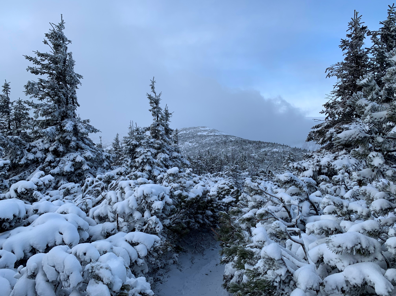 The summit of Mt Śnieżka is there, somewhere in the clouds...