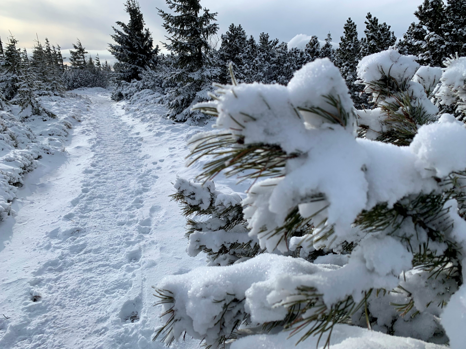 Hiking in winter