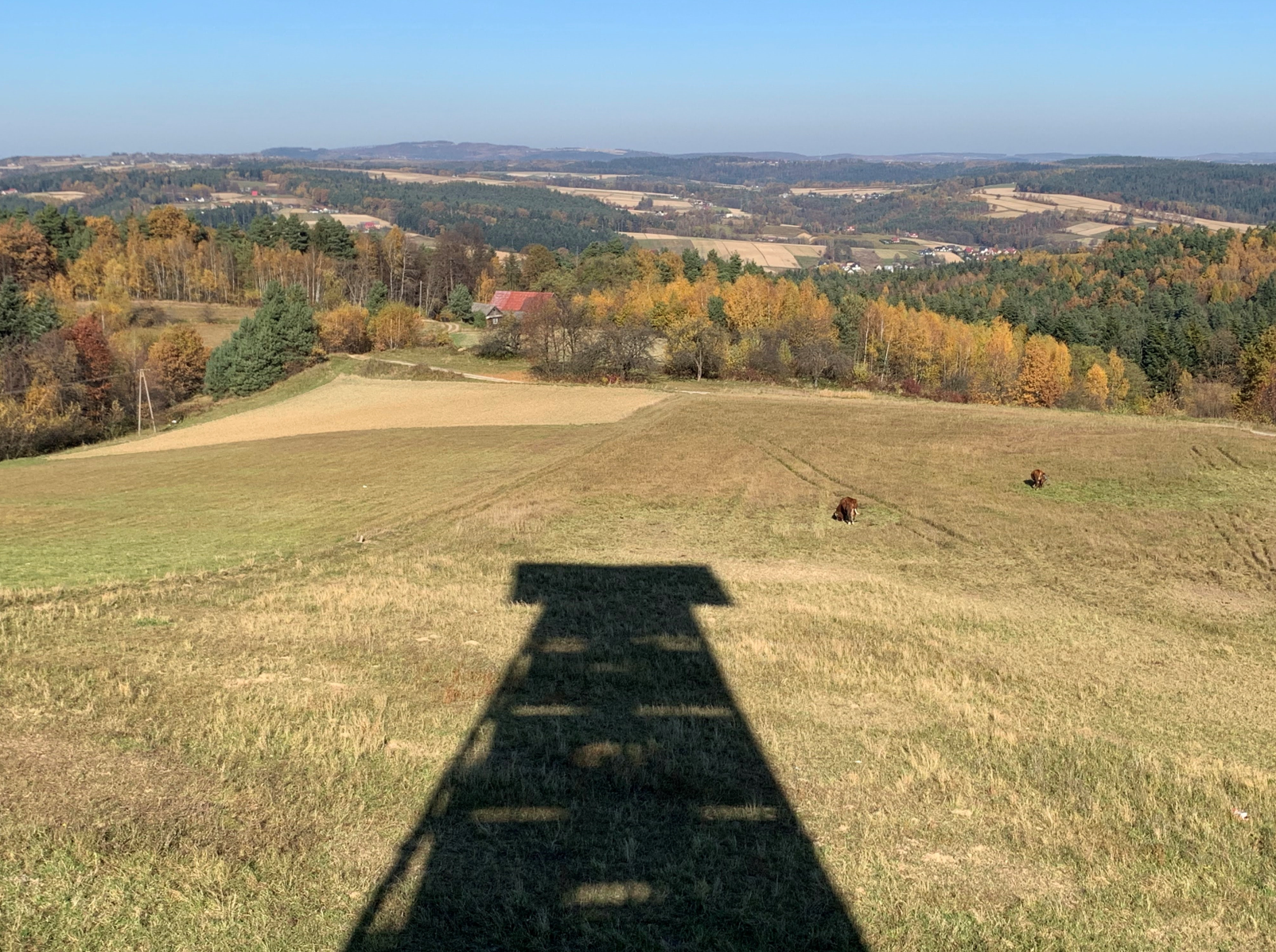 Widok z wieży w Bruśniku, kier. północny