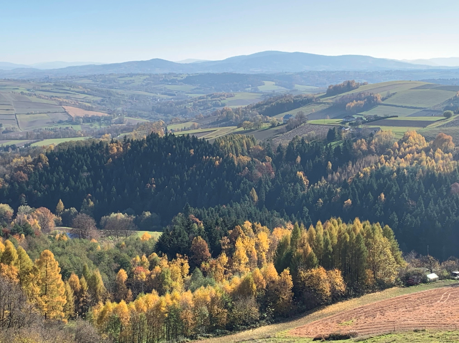 Widok z wieży w Bruśniku, kier. południowo-wschodni.