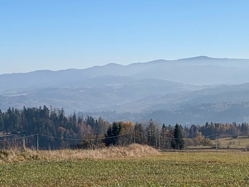 Więcej pisania niż zdobywania: Bukowiński Wierch. A mountain with more writing than hiking.[PL/EN]  