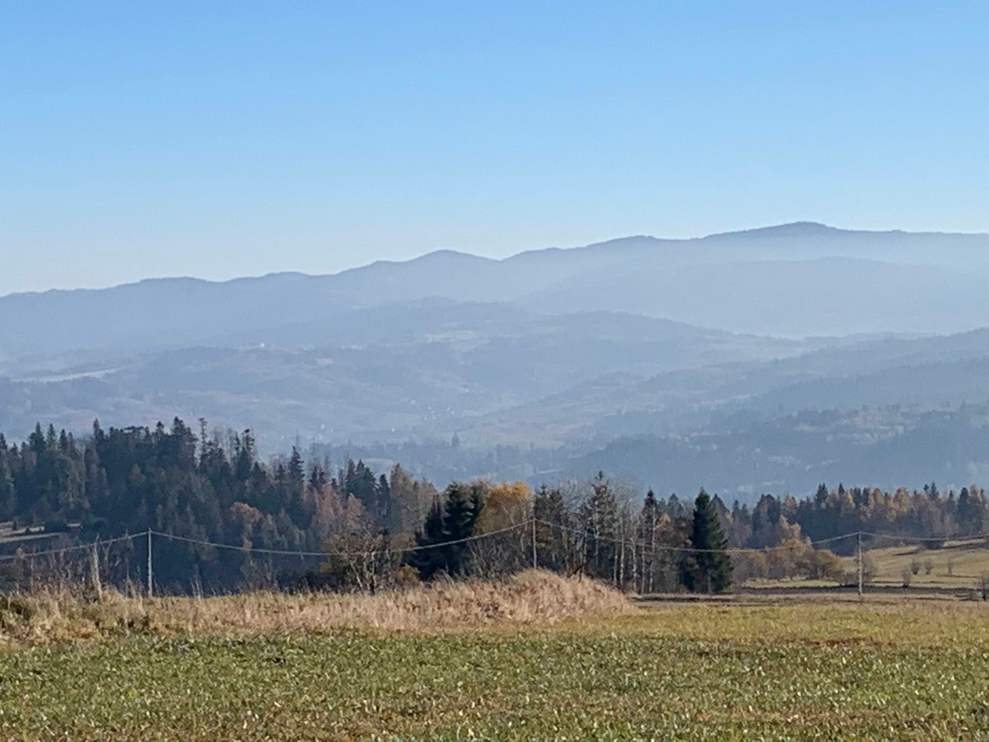 Widok z Bukowińskiego Wierchu / View from Bukowiński Wierch